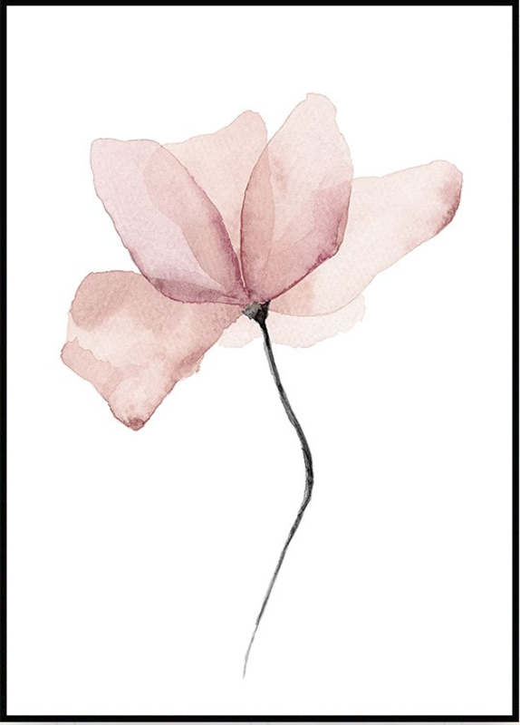 Poster ‘Delicate Bloom'